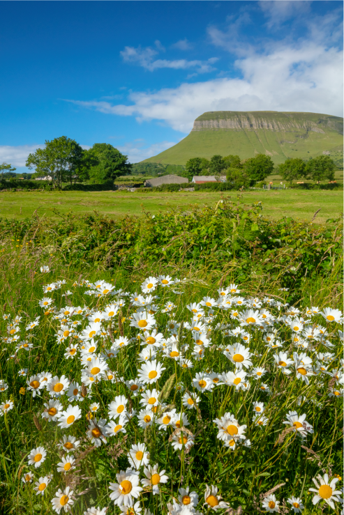 Benbulben, Sligo_master (1)